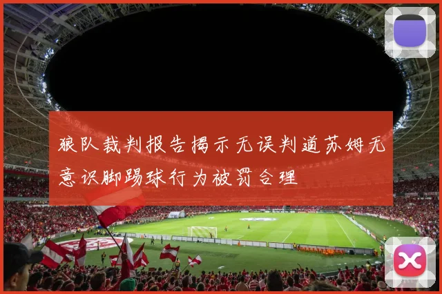 狼队裁判报告揭示无误判道苏姆无意识脚踢球行为被罚合理