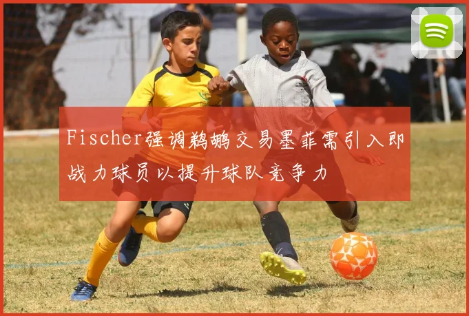 Fischer强调鹈鹕交易墨菲需引入即战力球员以提升球队竞争力